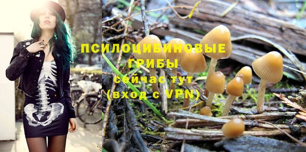герыч Володарск