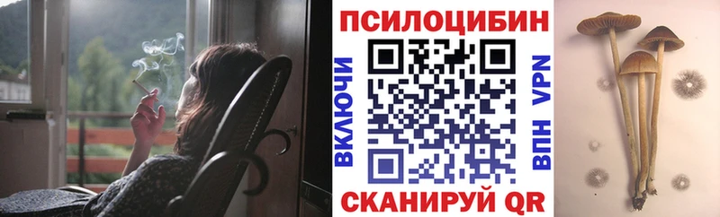 Купить  Покров  Псилоцибиновые грибы Psilocybine cubensis 